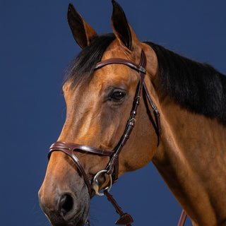 New English X-Fit Bridle