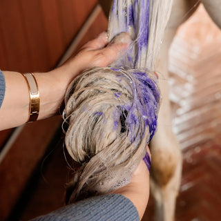 Almond Gloss Purple Shampoo | 500ml