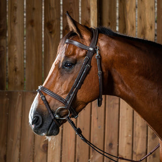 Working Collection Flash Noseband Bridle with Snap Hooks