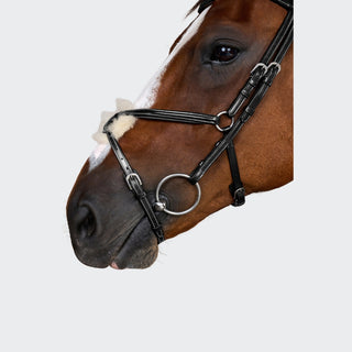 Working Collection Fig 8 Noseband Bridle