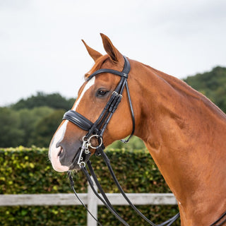 Dressage Matt Large Crank Noseband Double Bridle