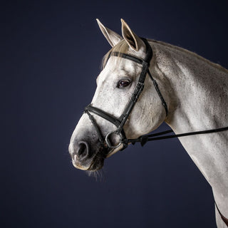 New English Flash Noseband Bridle