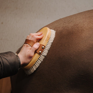 Overall Brush Shine Medium with Horse & Goat Hair