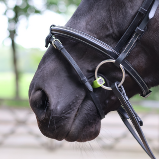 Flexi Soft Loose Ring Ported Snaffle