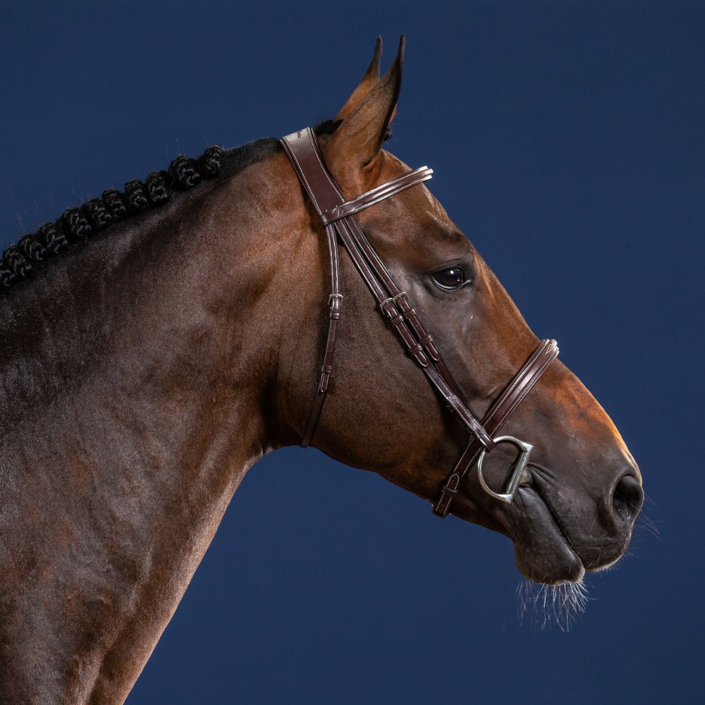 Hunter Cavesson Noseband Bridle