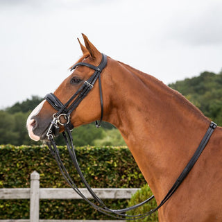 Dressage Patent Large Crank Noseband Double Bridle