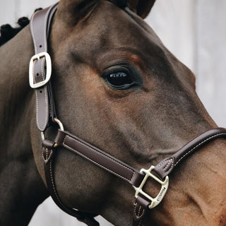 Anatomic Leather Headcollar | Brown