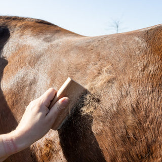 Easy Grooming Shedding Brush