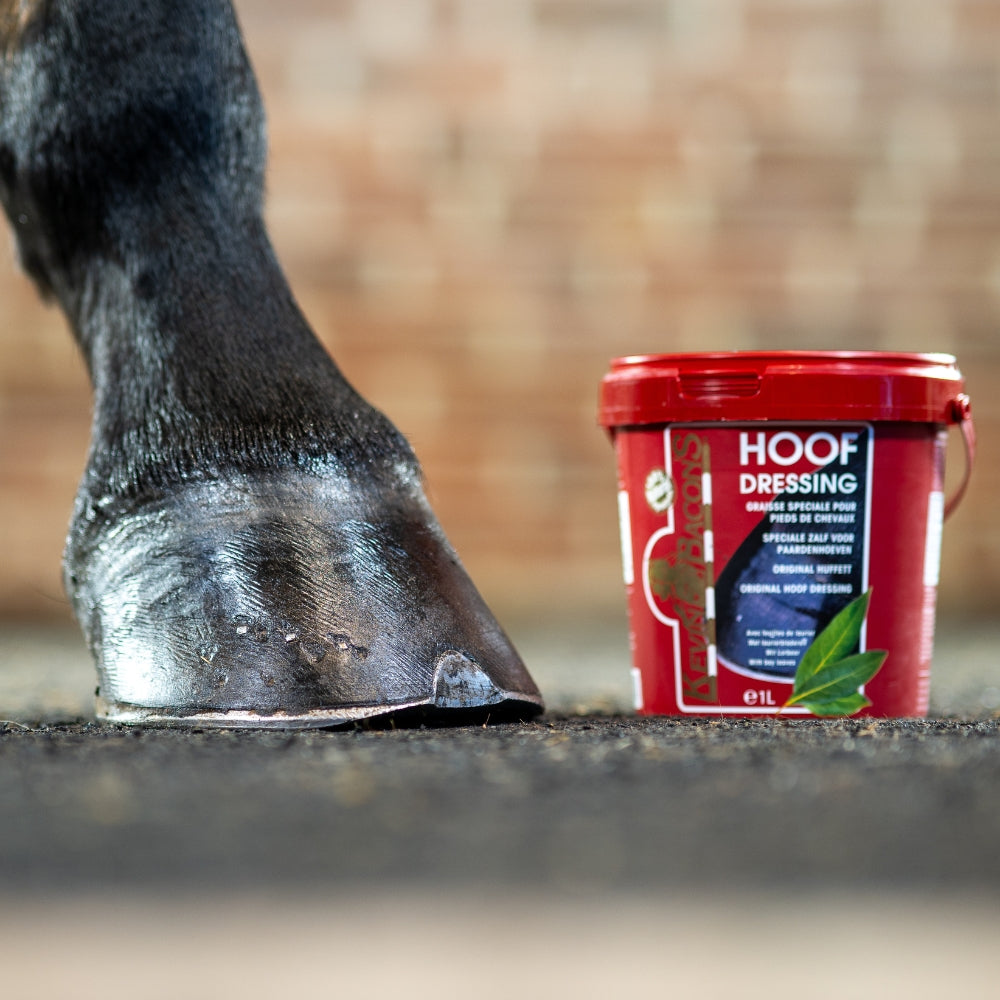 Black Hoof Dressing | 1L