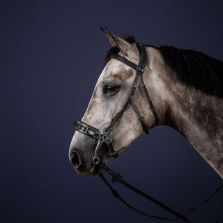 New English Hackamore Bridle