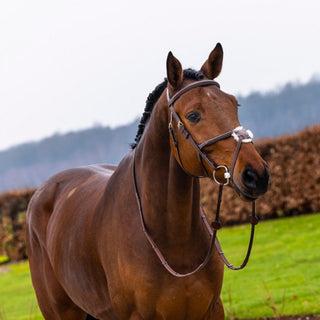Oslo Fig 8 Noseband Bridle