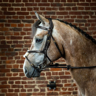 D Collection Figure 8 Noseband Bridle