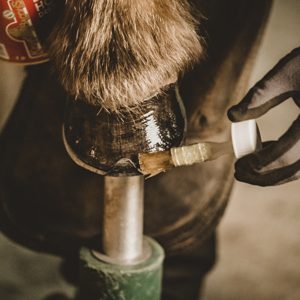 Liquid Hoof Dressing | 1L
