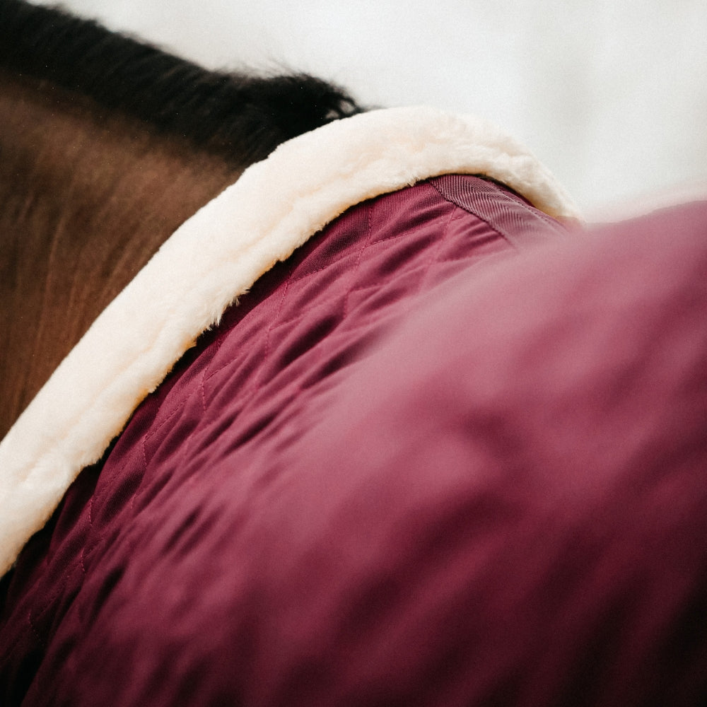 Show Rug | Burgundy