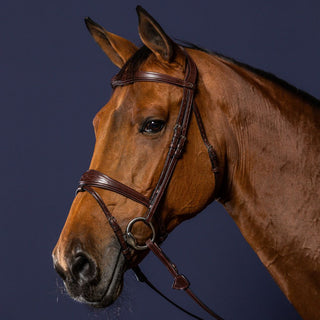 New English Anatomic Flash Noseband Bridle