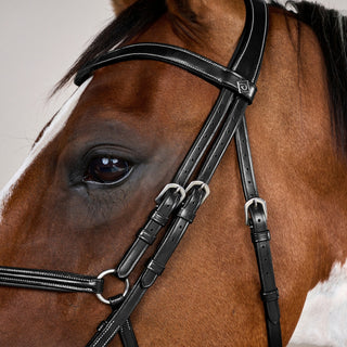 Working Collection Fig 8 Noseband Bridle