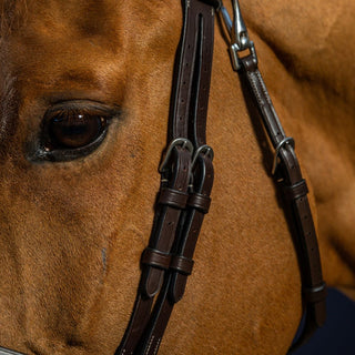 Working Collection Flat Leather Bridle with Snap Hooks