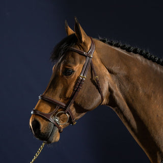 D Collection Double Noseband Bridle