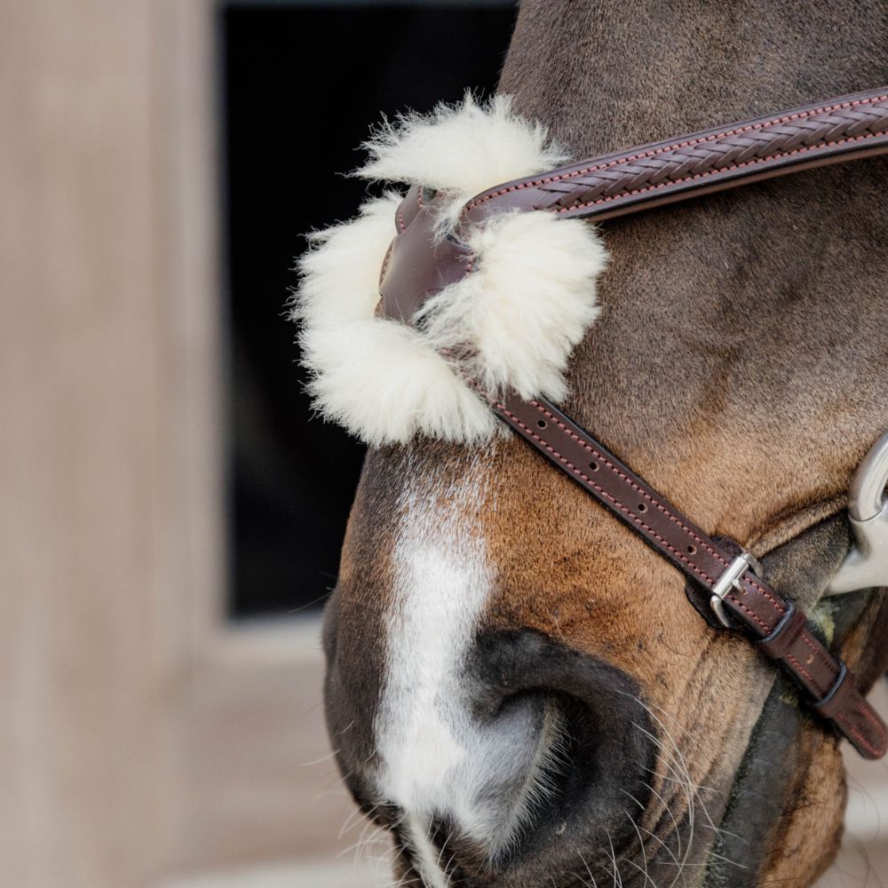 New English Plaited Fig 8 Noseband Bridle
