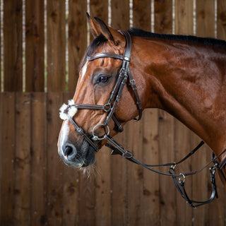 Working Collection Fig 8 Noseband Bridle