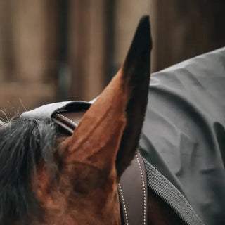 Horse Rain Coat