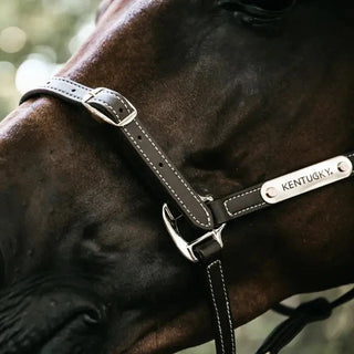 Leather Headcollar Flexible - Brown