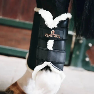 Turnout Boots Leather Hind