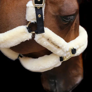 Sheepskin Headcollar - Natural