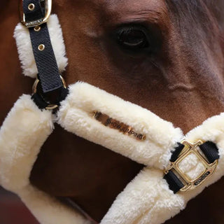 Sheepskin Headcollar - Natural