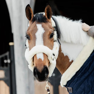 Sheepskin Headcollar - Natural