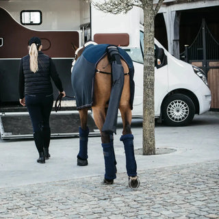 Tailguard & Tailbag - Black