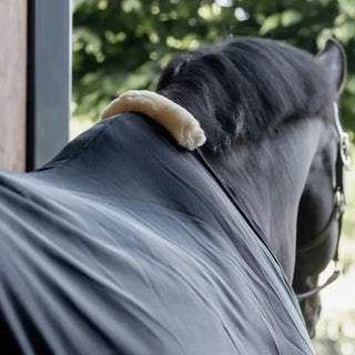Mesh Fly Sheet