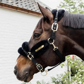Nylon Sheepskin Headcollar Soft | Black