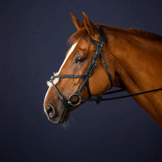 New English Figure 8 Noseband Bridle
