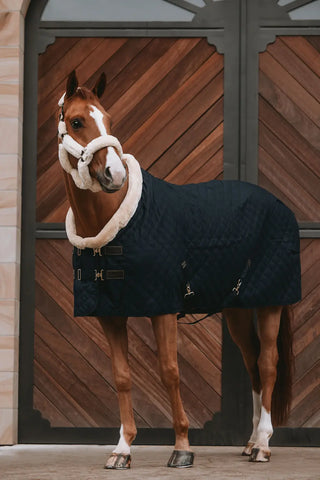 Show Rug | Black