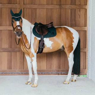 3D Wave Saddle Pad Show Jumping - Pine Green