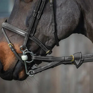 D Collection Converter Reins