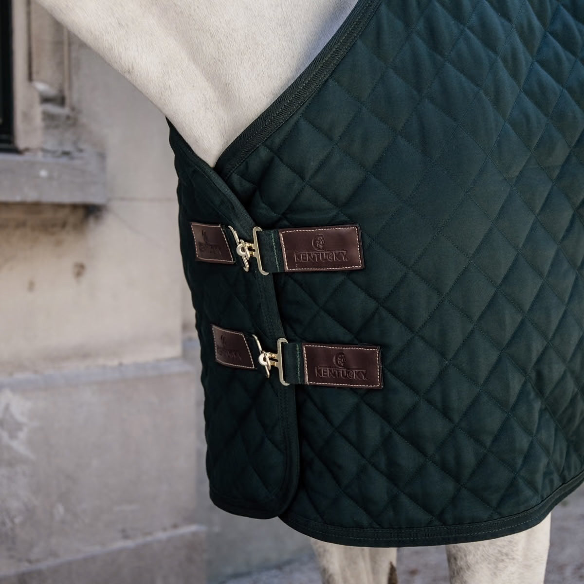 Stable Rug | Hunter Green