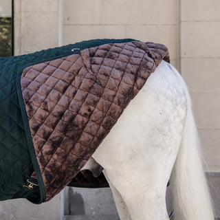 Stable Rug | Hunter Green