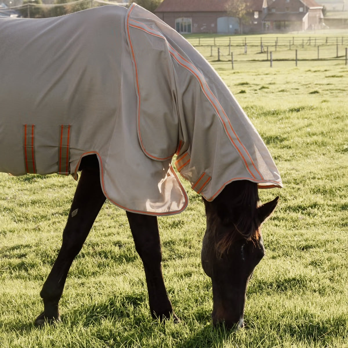 Mesh Fly Rug Comfort