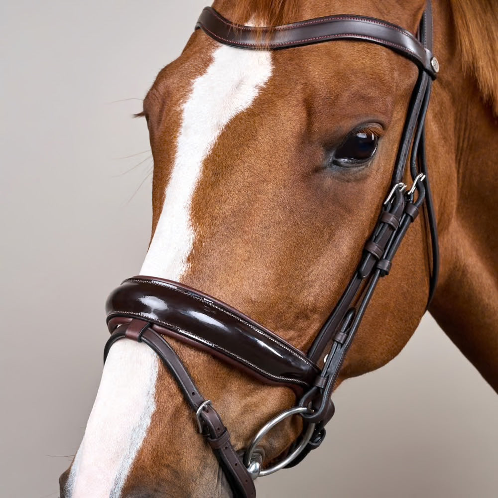 Working Collection Patent Large Crank Noseband Bridle With Flash