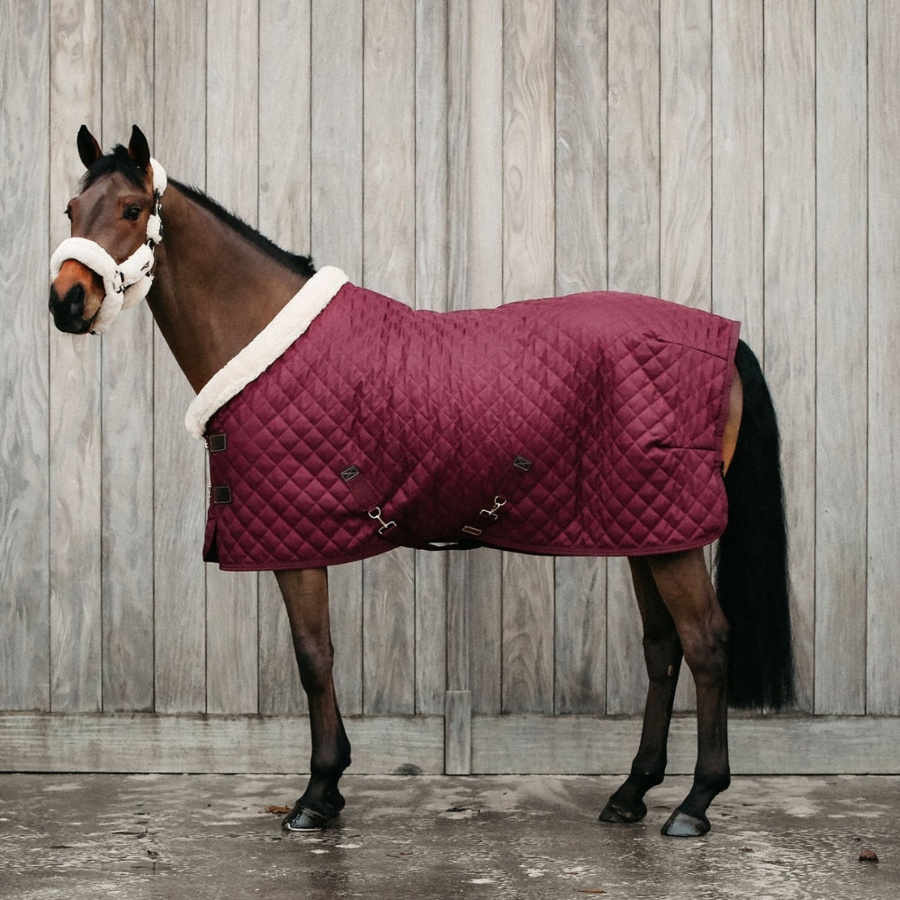 Show Rug | Burgundy