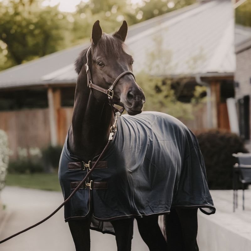 Anatomic Leather Headcollar | Brown