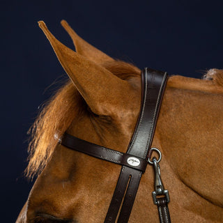 Working Collection Flat Leather Bridle with Snap Hooks