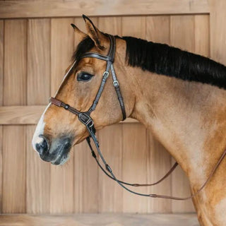 Working Collection Bitless Bridle