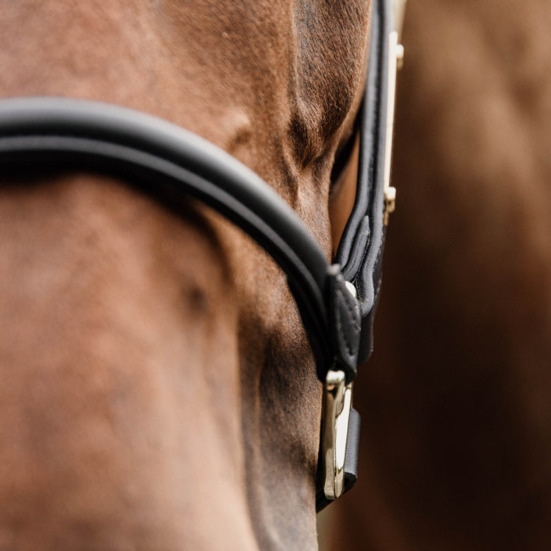 Anatomic Leather Headcollar | Black