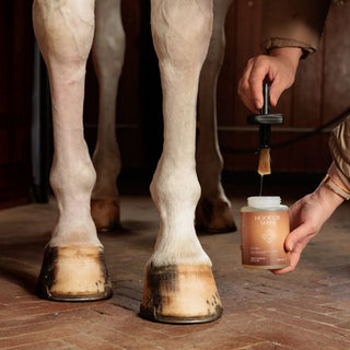 Hoof Oil Shine | Natural