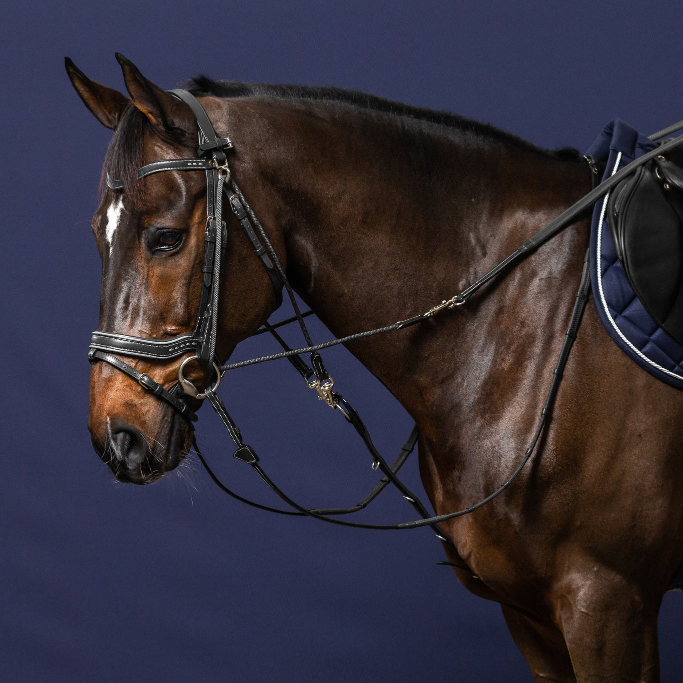 Working Collection Gogue Reins