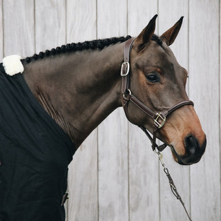 Anatomic Leather Headcollar | Brown