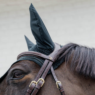 D Collection Plaited Flash Noseband Bridle